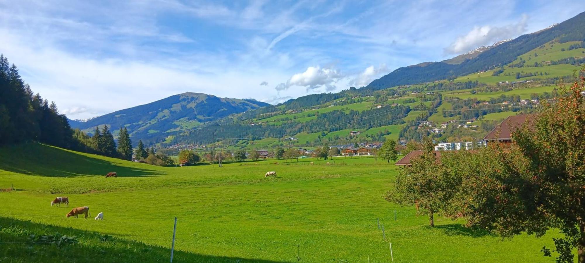 Apartment Sonnberg Mittersill Buitenkant foto